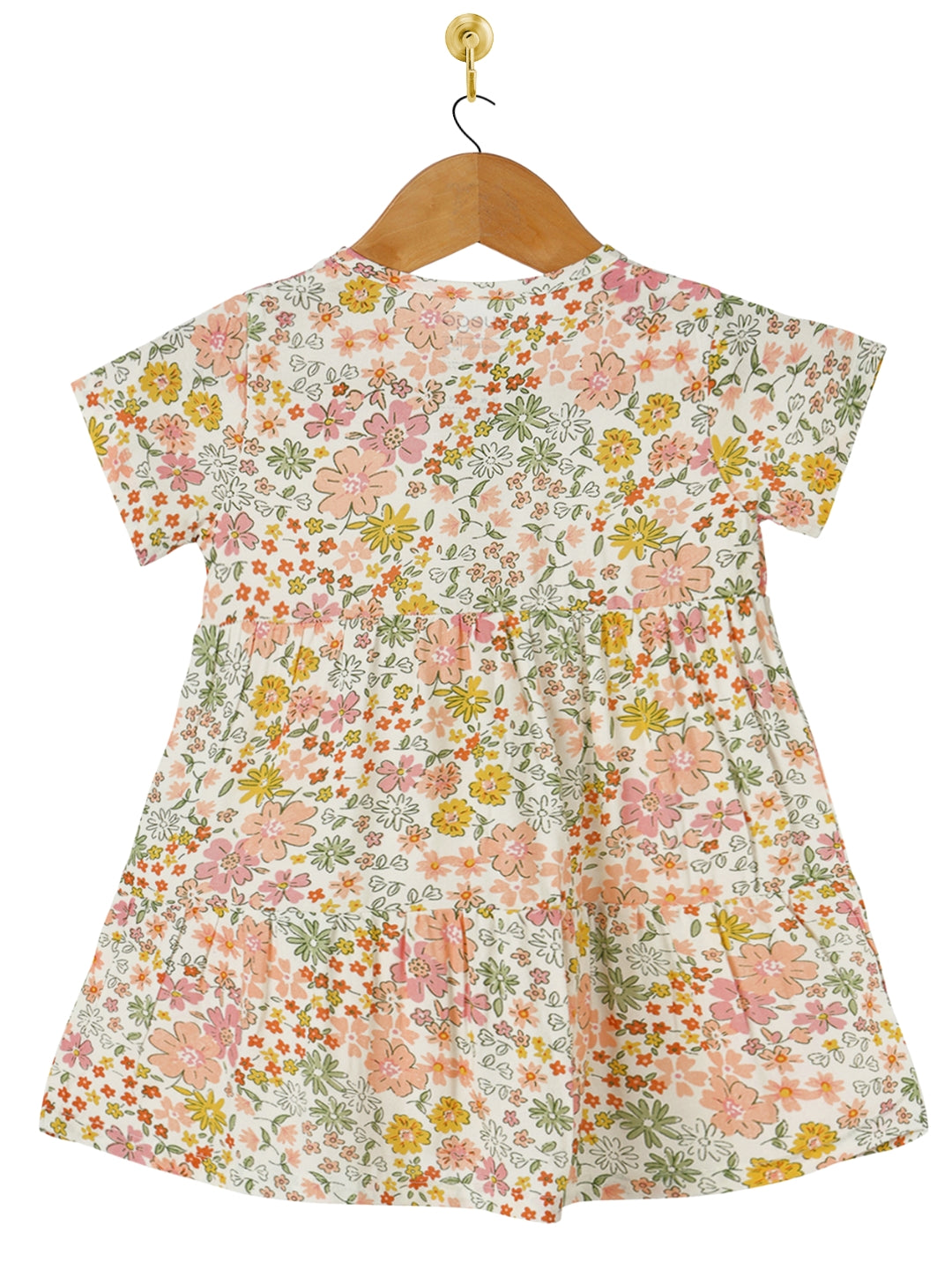 BG-DR-0001