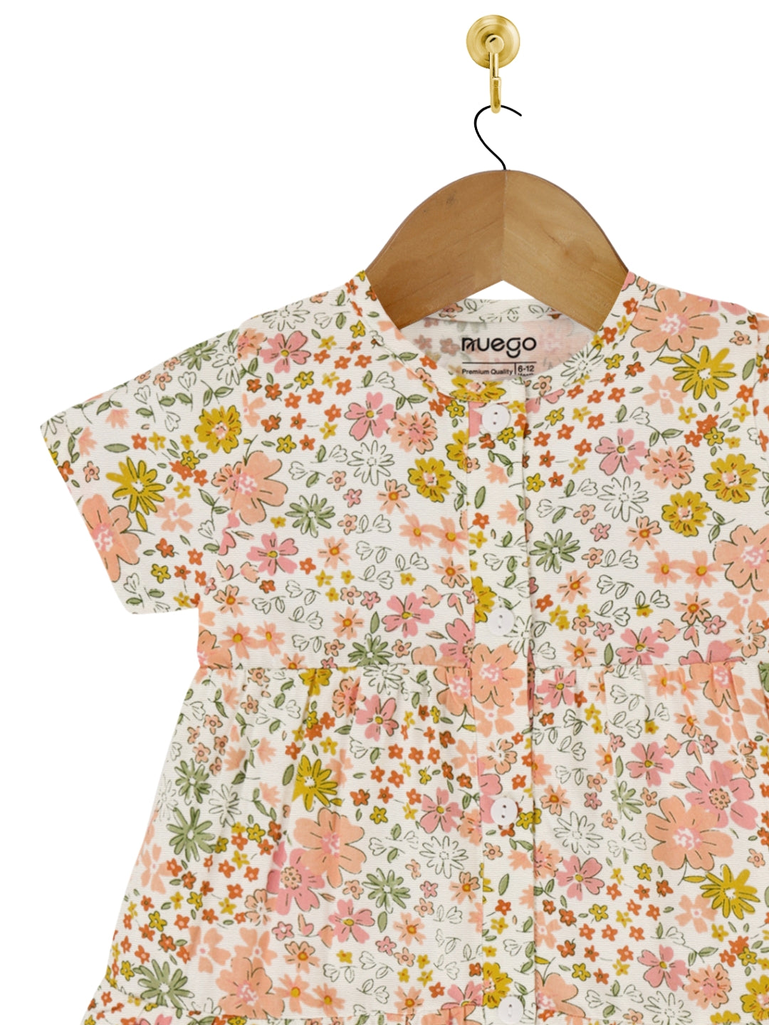 BG-DR-0001