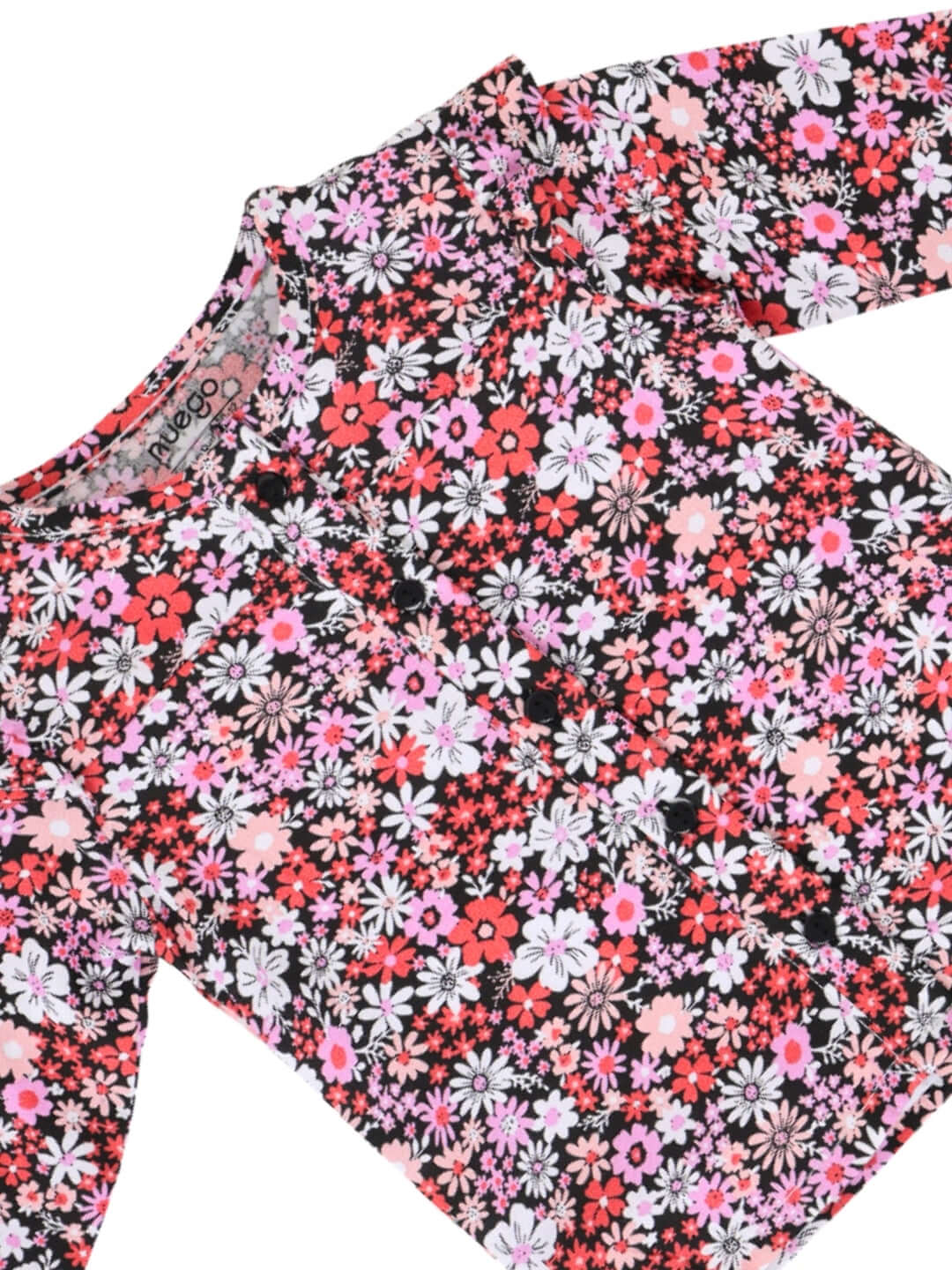 BG-MS-TSL-0006