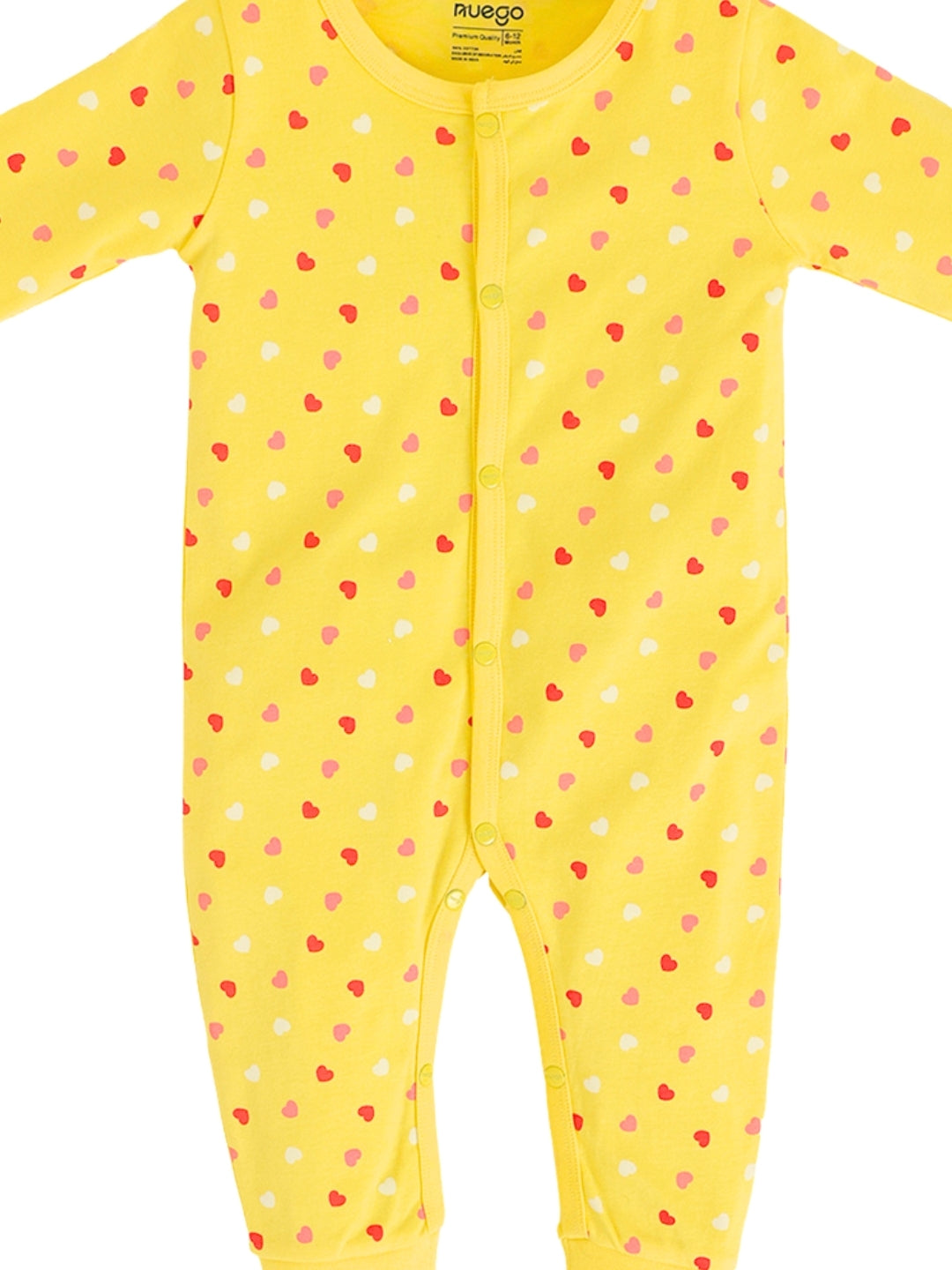 BG-SS-0003