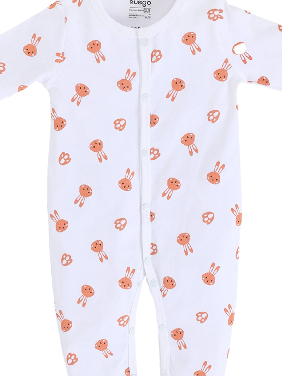 BG-SS-0004